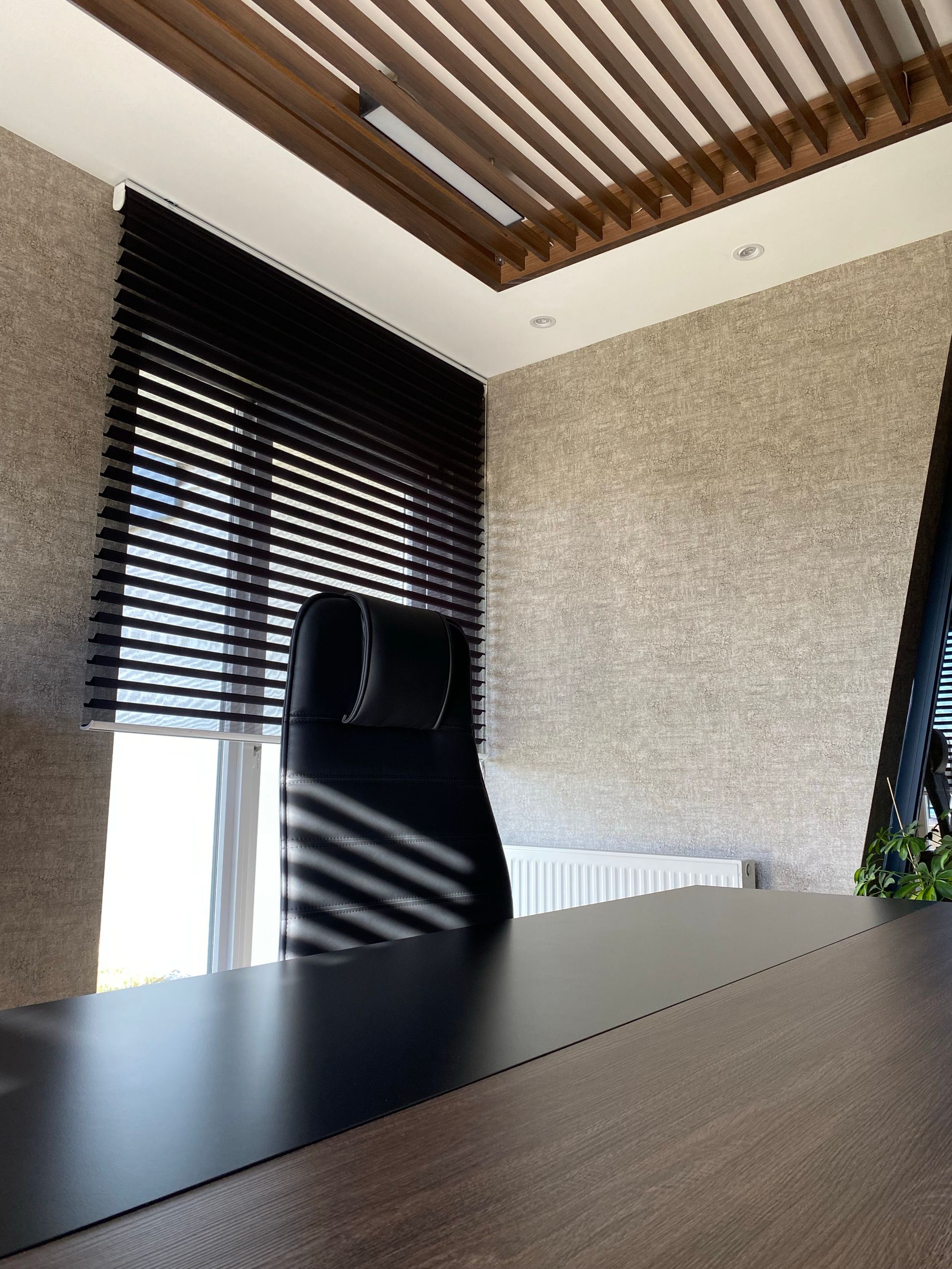 Private office interior